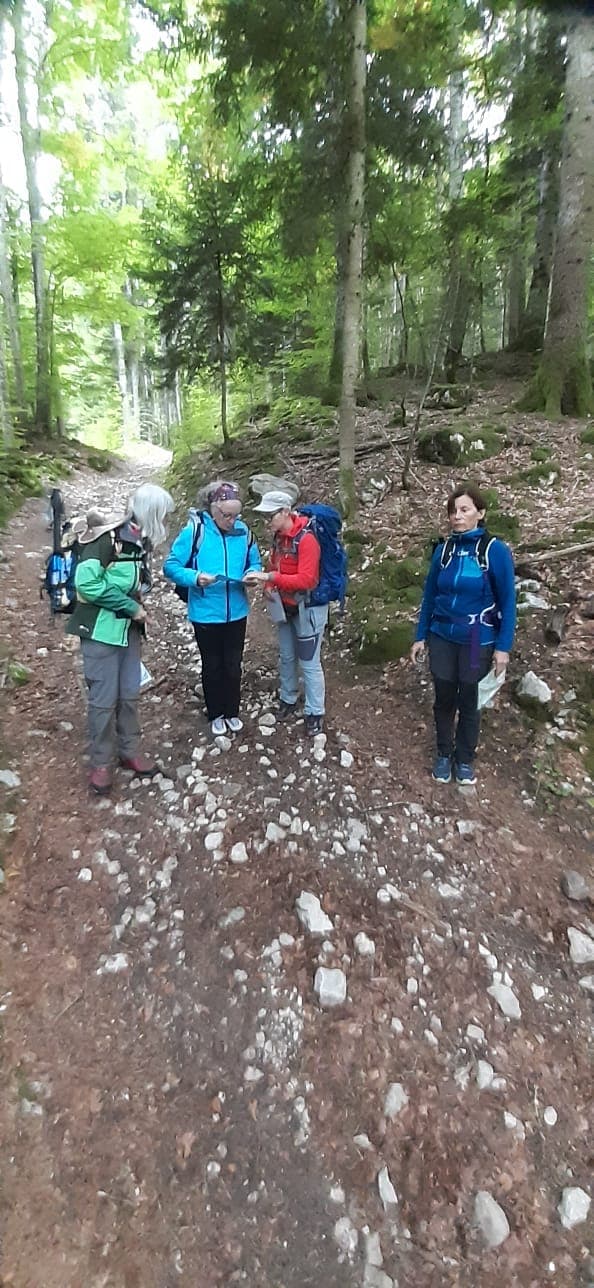 Formation Initiation Cartographie - Orientation — photo 2