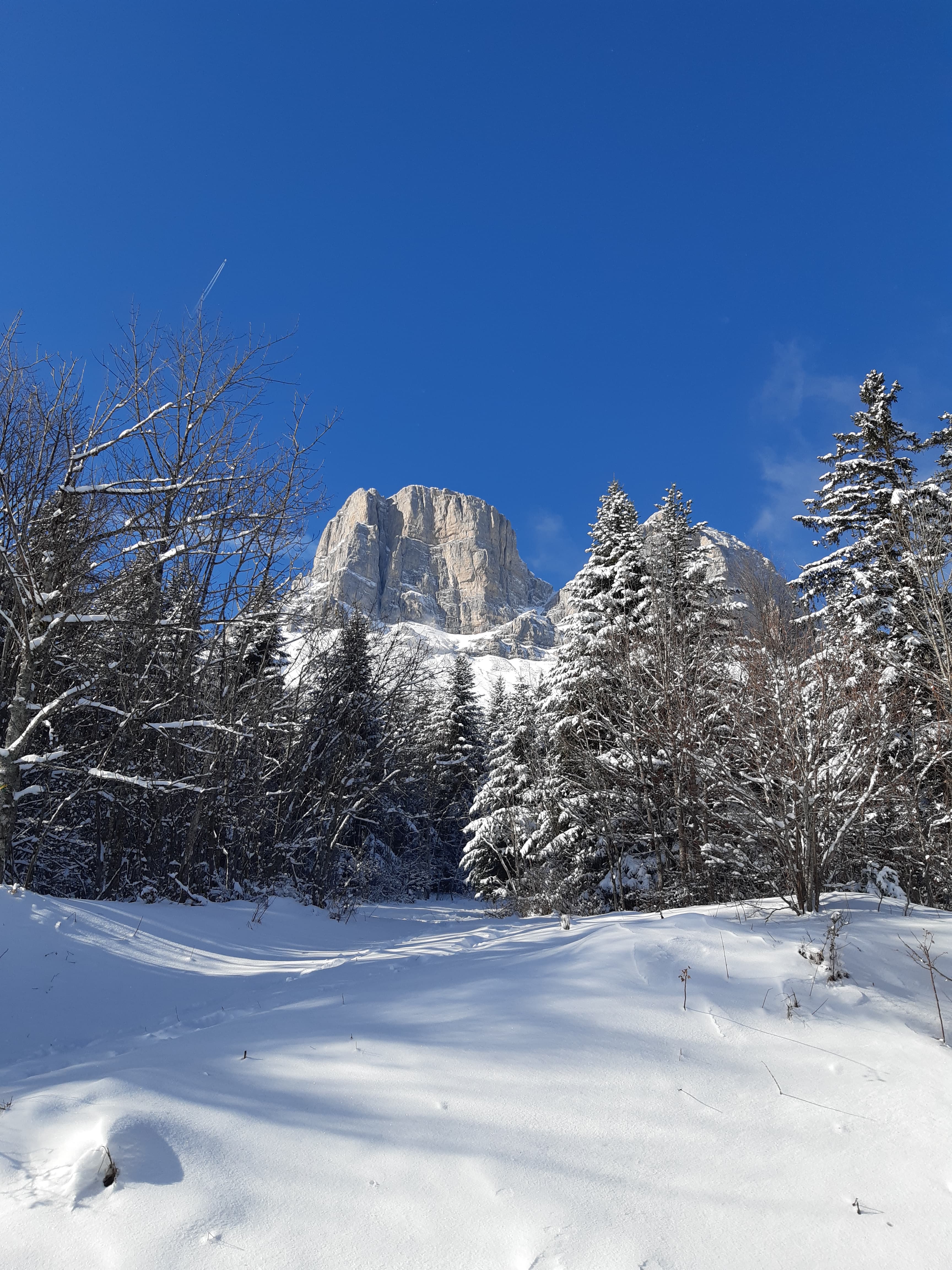 Randonnée en raquettes - Faune en hiver - Traces et empreintes · Raquettes à Col de l'Arzelier
