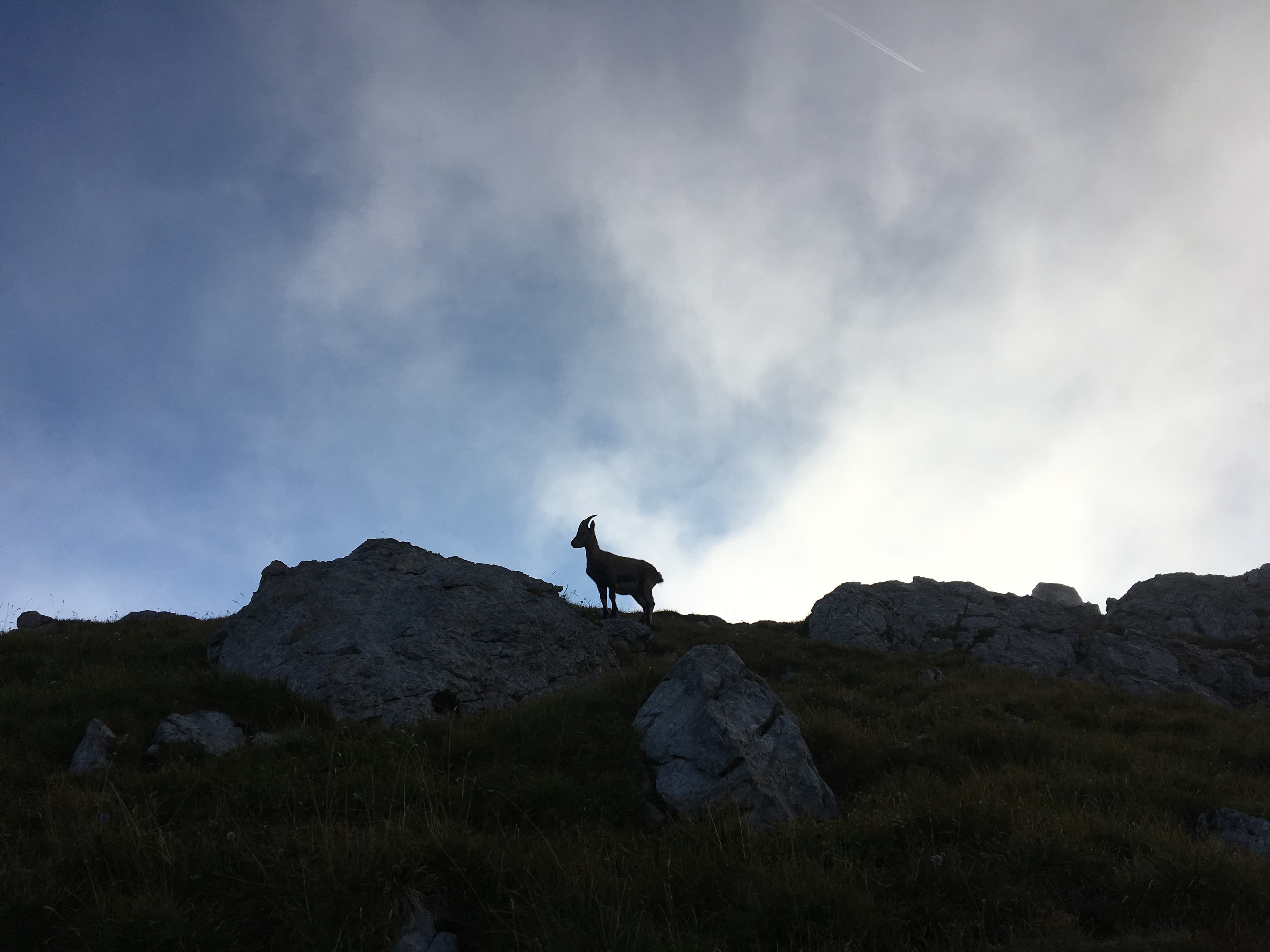 The ridges of Mont Veyrier, photo 2