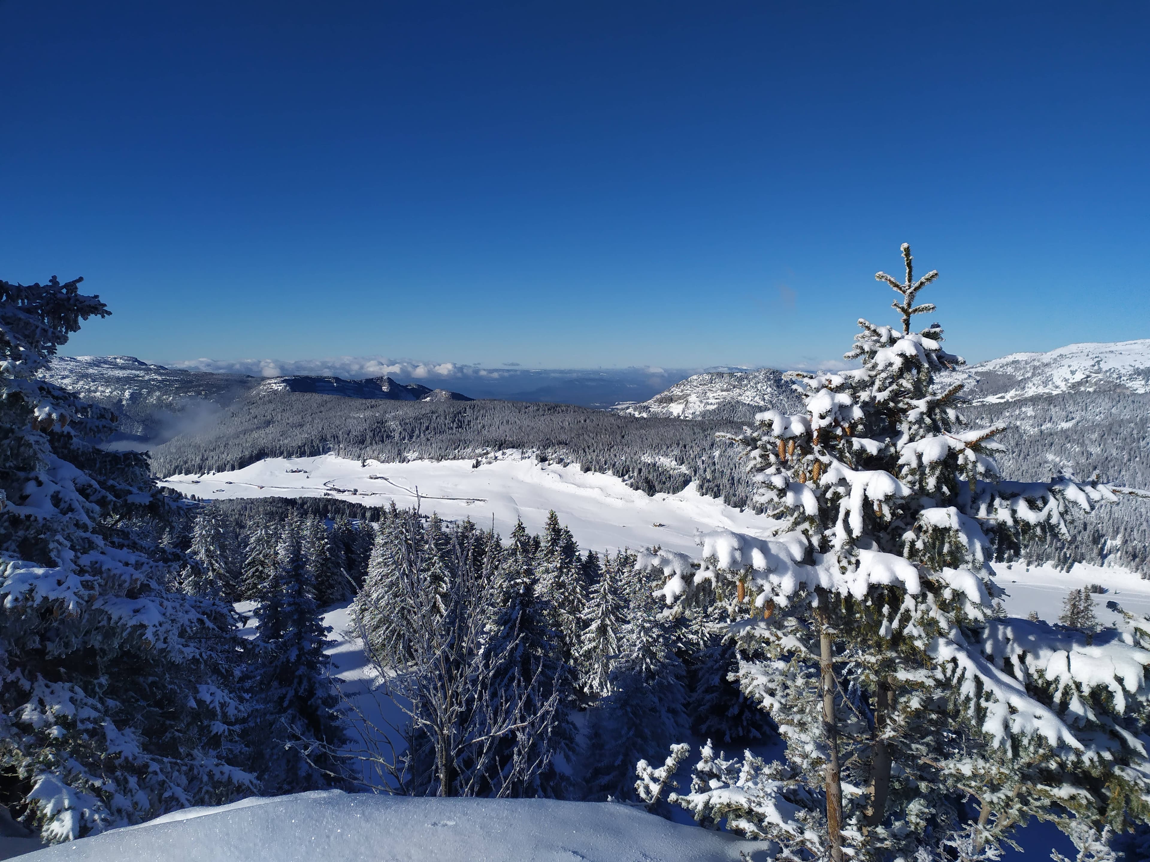 Raquettes en journée à la Montagne des Auges, photo 3