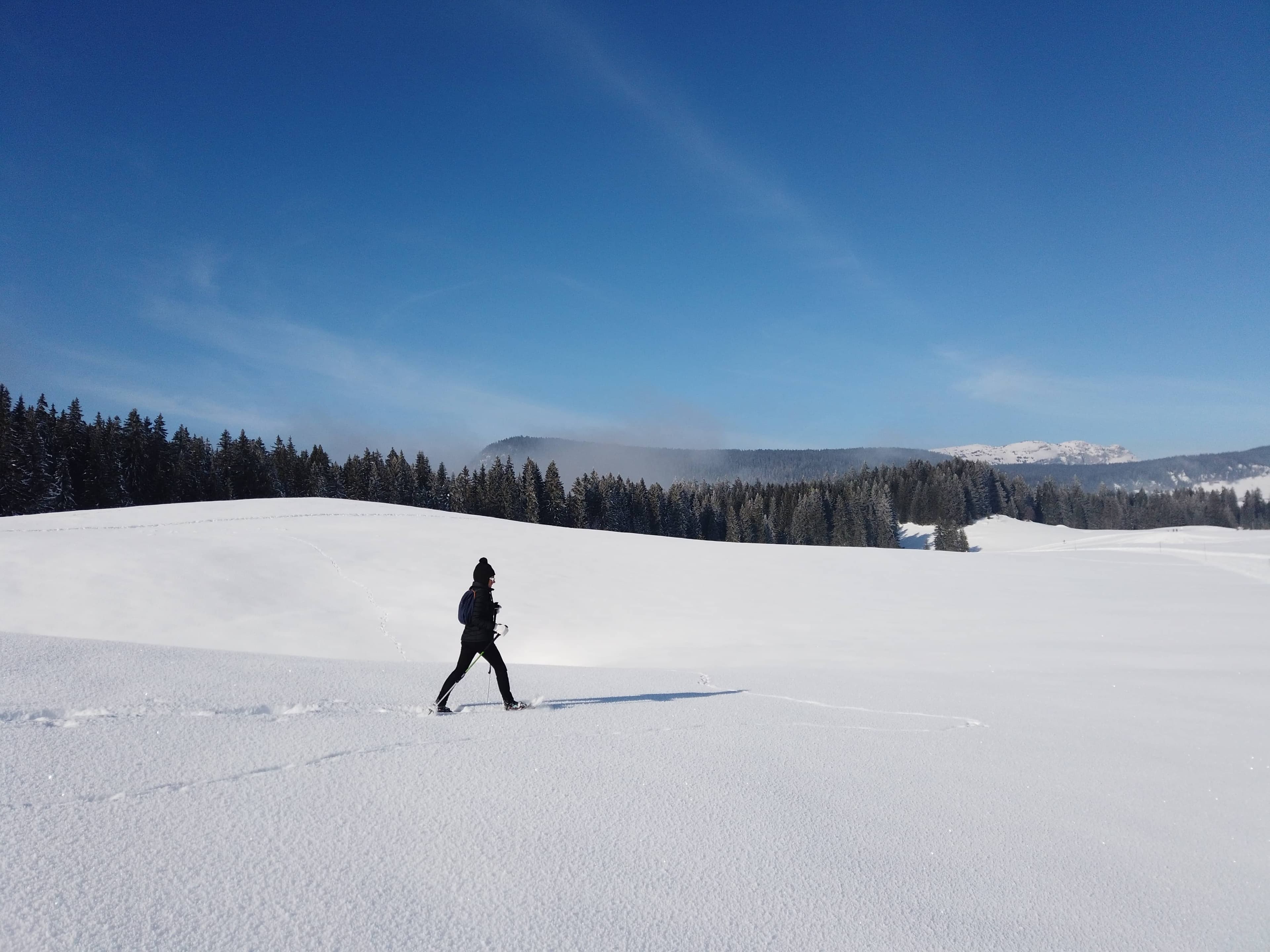 Raquettes en journée à la Montagne des Auges, photo 4