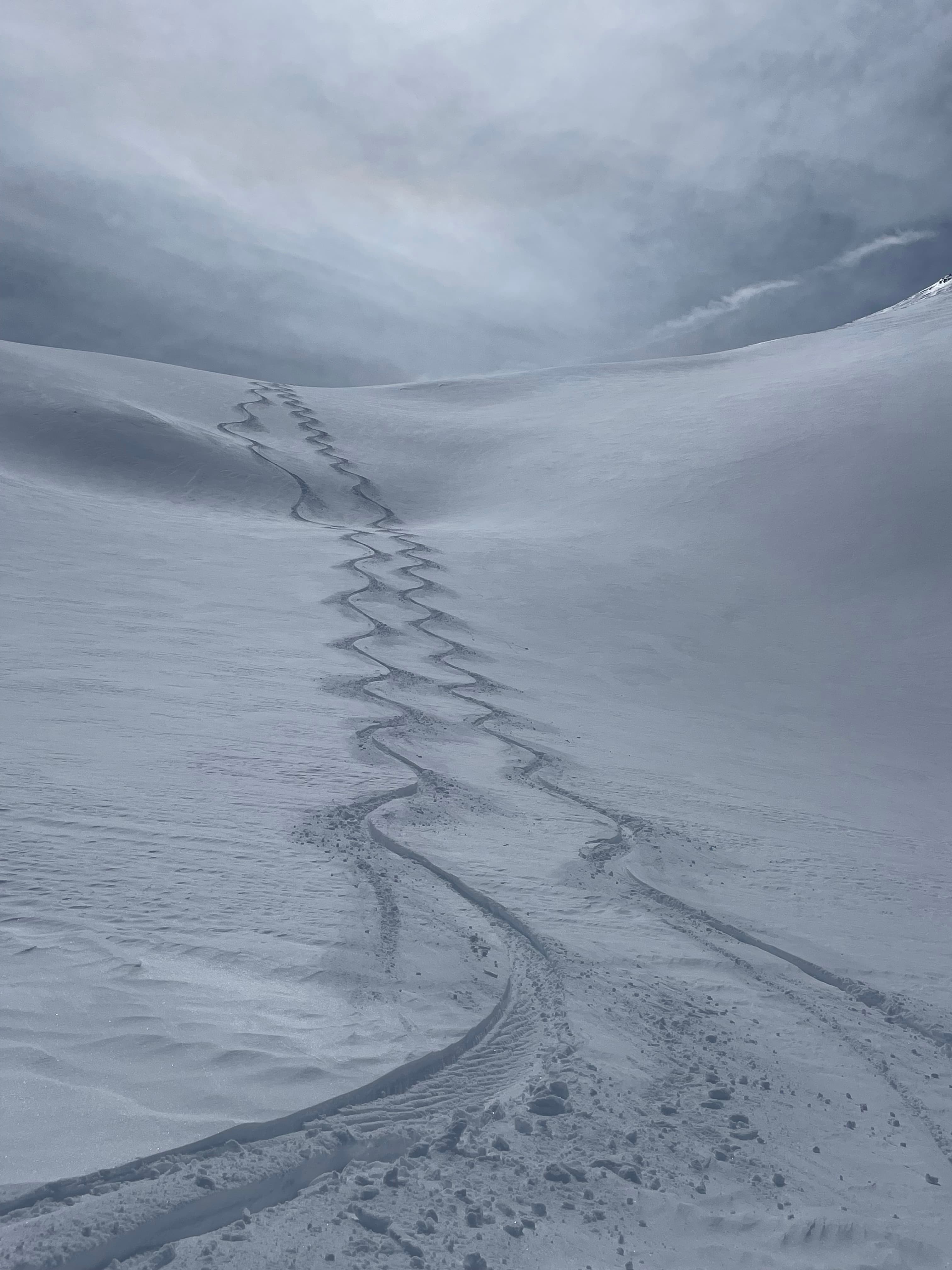 Heliski, photo 3