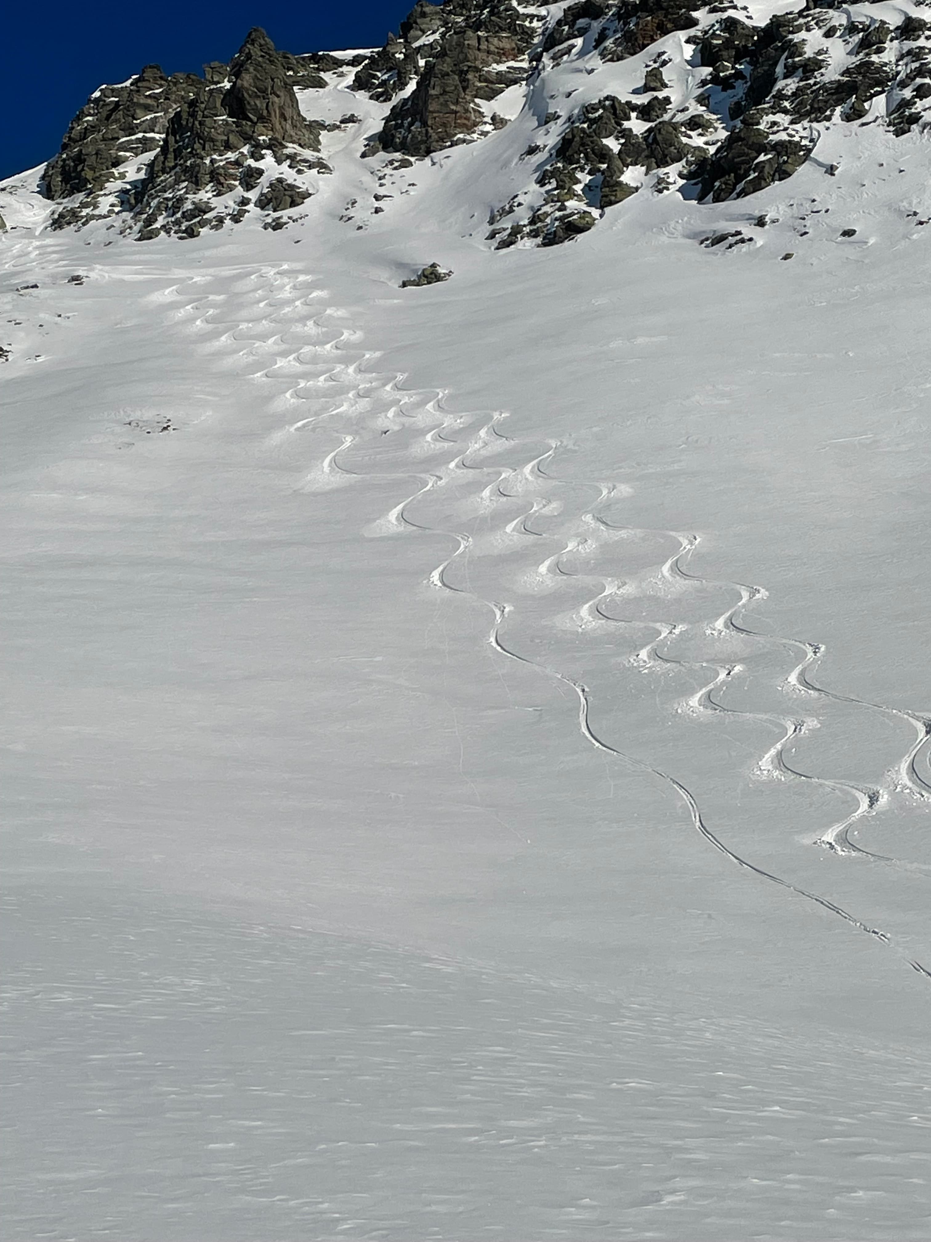 Heliski, photo 4