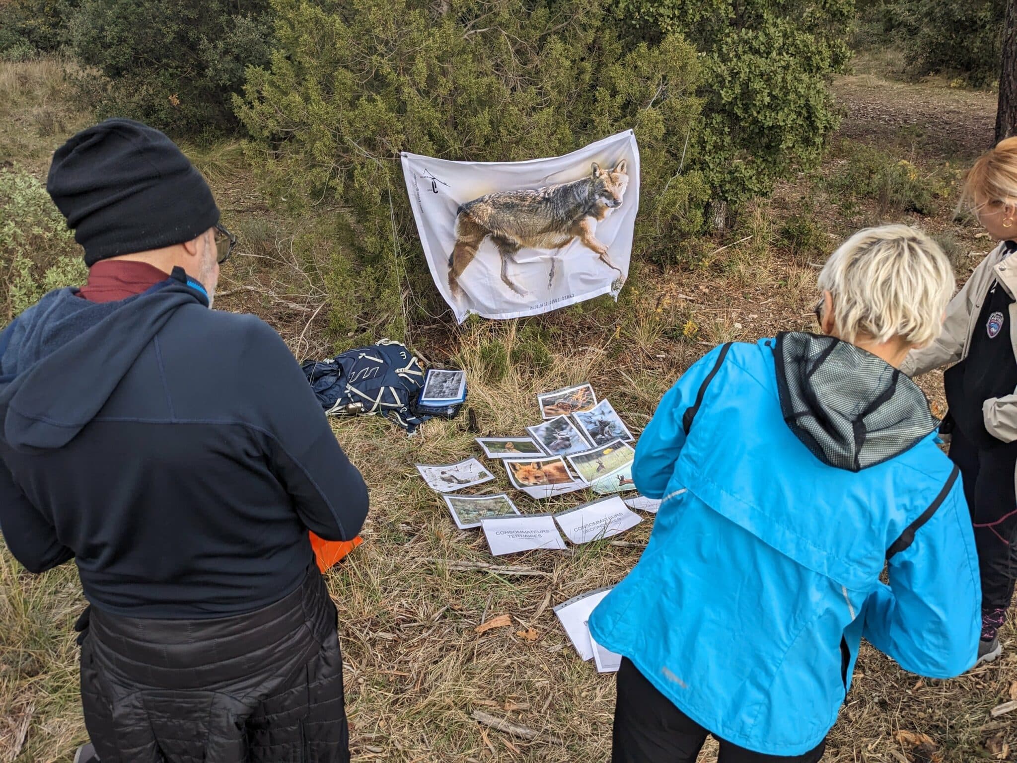 Sur la piste du loup en Provence, photo 1